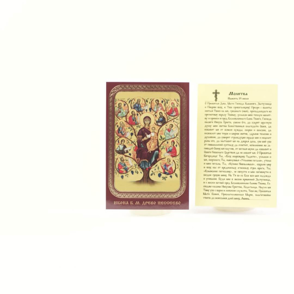 5e31ef31-34a8-11ef-adc4-801844e5e14d_4759f480-34a9-11ef-adc4-801844e5e14d