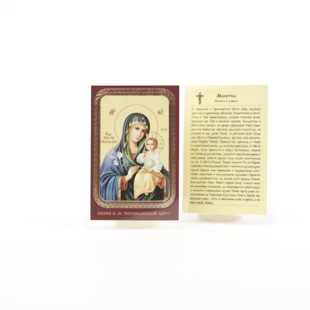 64287950-34a8-11ef-adc4-801844e5e14d_4d597154-34a9-11ef-adc4-801844e5e14d