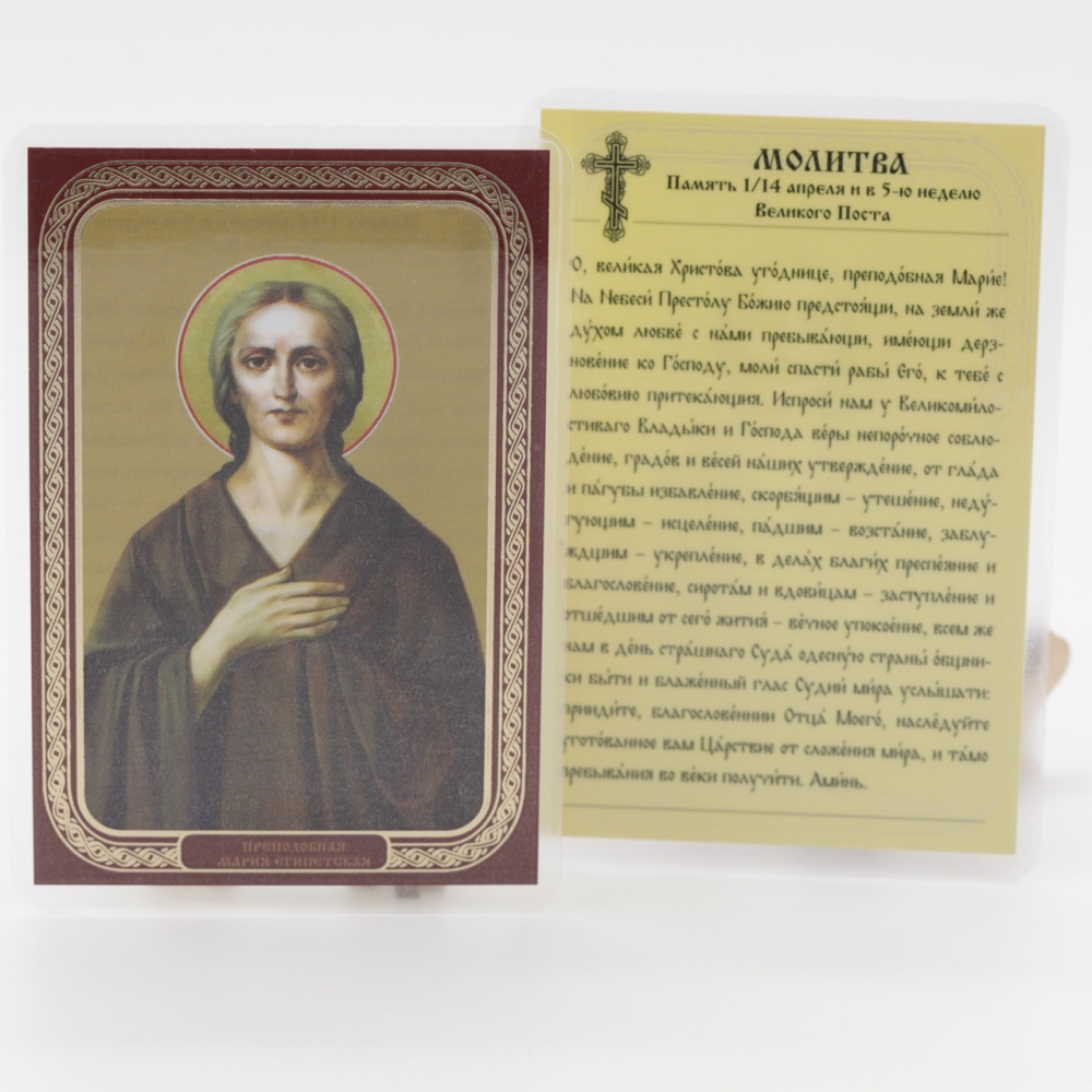 7f816c7a-3549-11f0-add7-801844e5e14c_f490fbd2-55d1-11f0-add9-801844e5e14d