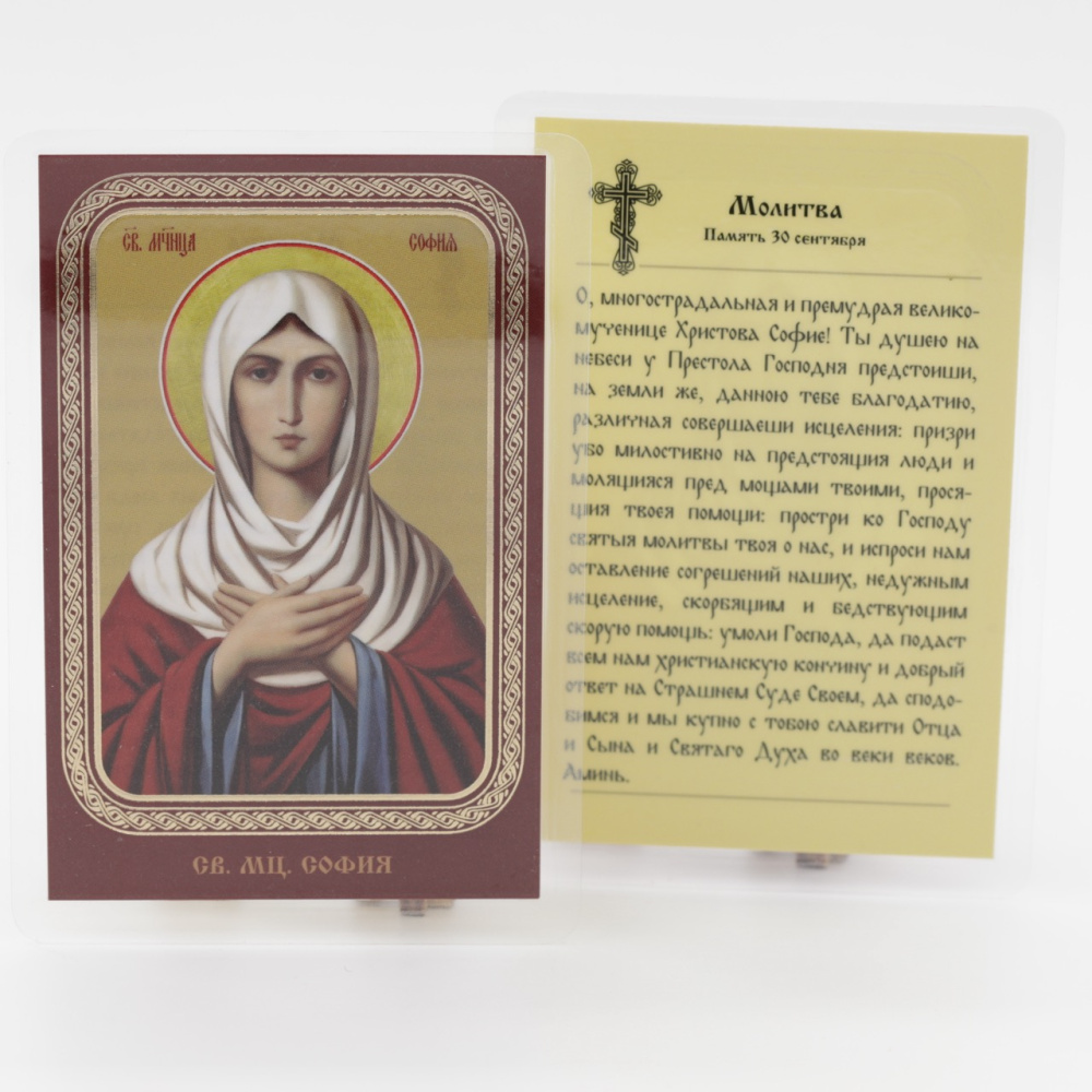 6bd70173-34a8-11ef-adc4-801844e5e14d_465a2503-55d2-11f0-add9-801844e5e14d