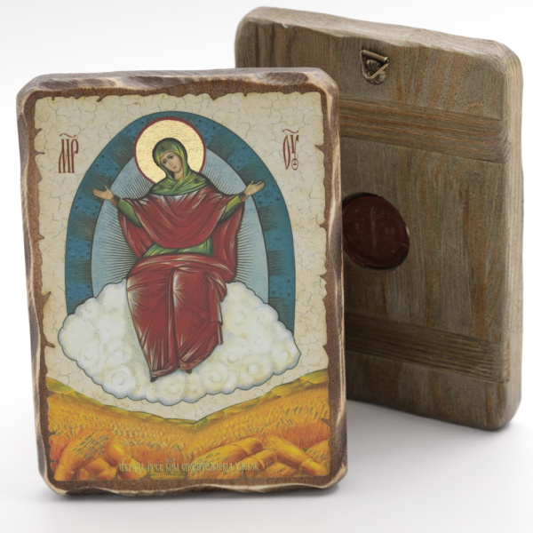 1888460d-3803-11f0-add7-801844e5e14c_23a5a510-3803-11f0-add7-801844e5e14c