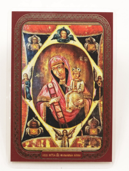 cbed7c8b-25a4-11f0-add6-801844e5e14c_cd3aeb9a-d071-11f0-addb-801844e5e14c