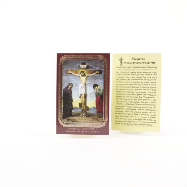 6a209fc0-34a8-11ef-adc4-801844e5e14d_5357eafb-34a9-11ef-adc4-801844e5e14d