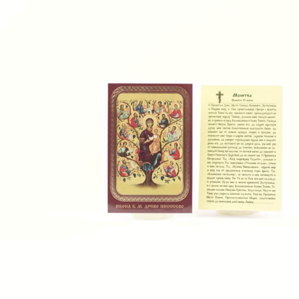 5e31ef31-34a8-11ef-adc4-801844e5e14d_4759f480-34a9-11ef-adc4-801844e5e14d