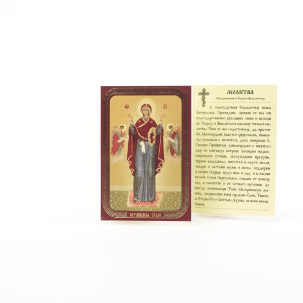 642878e6-34a8-11ef-adc4-801844e5e14d_4d59707e-34a9-11ef-adc4-801844e5e14d