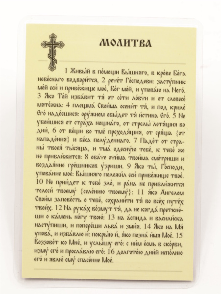 Икона ламинат 65x95, Спаситель (Псалом 90) (2)